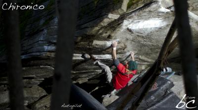 Jojo in "Auto pilot"